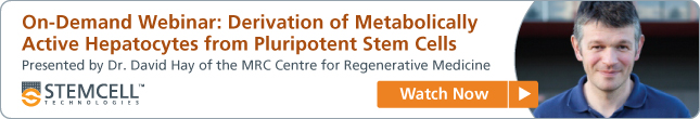 Derivation of Metabolically Active Hepatocytes from Pluripotent Stem Cells - View On-Demand Webinar Now.